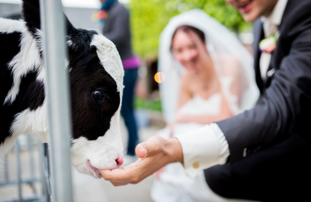 wedding-r-a-20-1d63d9558ea8b2d576af77aa6e3f49e9